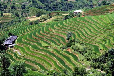 Trekking Ma Tra - Ta Phin and explore Muong Hoa Valley